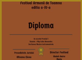 Slătineanul Alexandru Filip CĂLIN, primul loc la Concursul Național de Interpretare vocală și instrumentală „Armonii de Toamnă”