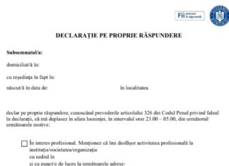Cum arată DECLARAȚIA ce va fi folosită pe timpul nopții
