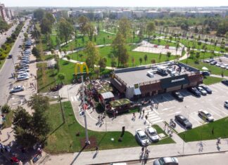 Toți arborii uscați din Parcul Tineretului au fost înlocuiți