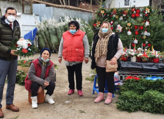 Caracal: Piață de brazi pe strada Mieilor