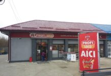 PROFI LA CURTIȘOARA
