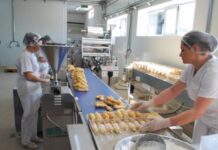 LISTA. FIRME DIN INDUSTRIA ALIMENTARĂ DIN OLT, CIFRE DE AFACERI AMEȚITOARE