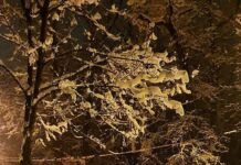 Polițistul slătinean Viorel Teacă continuă ajutorarea cetățenilor și la Sibiu