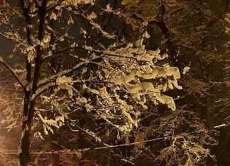 Polițistul slătinean Viorel Teacă continuă ajutorarea cetățenilor și la Sibiu