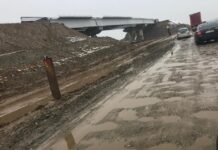 Ministrul Transporturilor și Infrastructurii, interpelat de senatorul Siminica Mirea