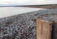 Barajul Drăgănești-Olt, sufocat de pet-uri