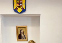 Senator Siminica Mirea: ”Diferența dintre exporturi și importuri, este mai mare cu 1,1 mld. euro, în 2020, față de 2019”