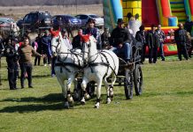Evenimentul ”Încuratul cailor de Sân’ Toader de la Brâncoveni”, anulat
