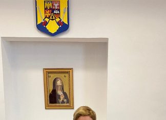 Senatorul Siminica Mirea cere reglementarea pieței energetice