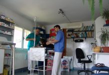 CELE MAI TARI FIRME VETERINARE DIN OLT