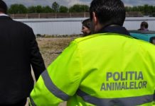 Protecția Animalelor a intervenit în comuna Drăghiceni