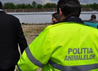 Protecția Animalelor a intervenit în comuna Drăghiceni