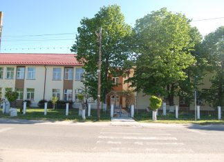 Metode de creștere a atractivității învățării în mediul on-line, la Liceul „Ștefan Diaconescu” din Potcoava