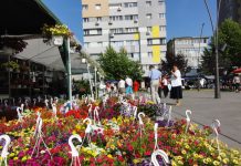 Expo Flora Slatina, în perioada 20-22 mai, în Parcul Tineretului