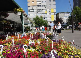 Expo Flora Slatina, în perioada 20-22 mai, în Parcul Tineretului