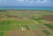 A ÎNCEPUT RECENSĂMÂNTUL GENERAL AGRICOL. PESTE 500 DE RECENZORI VOR COLECTA INFORMAȚII, ÎN OLT