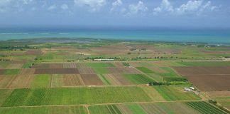 A ÎNCEPUT RECENSĂMÂNTUL GENERAL AGRICOL. PESTE 500 DE RECENZORI VOR COLECTA INFORMAȚII, ÎN OLT