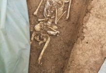 Drum Expres Craiova –Slatina- Pitești: Oseminte descoperite într-un sit arheologic pe şantierul tronsonului 1
