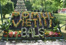 Festivalul „Pomul Vieţii”- Balş, o tradiție de 27 de ani