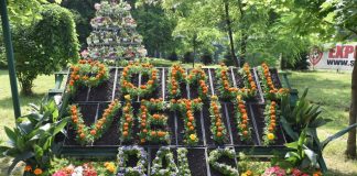 Festivalul „Pomul Vieţii”- Balş, o tradiție de 27 de ani