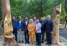 Copacii uscați din Parcul ”Constantin Poroineanu” din Caracal au prins viață