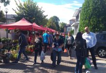 FOTO. Legume și fructe proaspete, în Piața Producătorilor Olteni de la CJ Olt