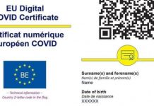Sindicatul Europol: Polițiștii nu au în dotare telefoane sau tablete de serviciu pentru verificarea certificatelor COVID
