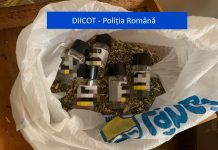 Percheziții, în Olt. Drogurile erau aduse din Olanda