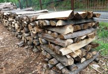 Oltenii, arși la buzunare. Avem cel mai scump lemn de foc