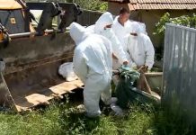 Chesnoiu, ministrul Agriculturii, despre Legea Porcului: „Noi nu susținem un astfel de proiect”