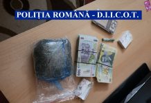 VIDEO. Percheziții în Slatina și Curtișoara, la persoane bănuite de trafic de droguri de risc