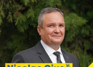 Senatorul Liviu Voiculescu: „România iese din criza politică!”