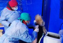 Peste 1.300 de olteni s-au vaccinat împotriva COVID, în ultimele 24 de ore