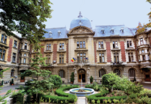 Oltul va avea doi miniștri…!? Unul de la PSD, altul de la PNL