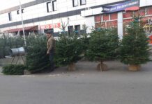 Au apărut brazii, în Piața Zahana din Slatina