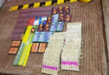 Percheziții la Vișina