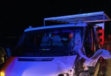 Accident între Brâncoveni și Piatra-Olt. Un cal a murit