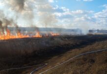 Arderea miriștilor, strict interzisă