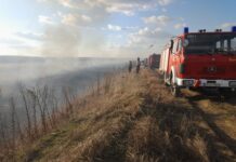 Amendă de până la 6.000 de lei pentru oltenii care dau foc miriștilor