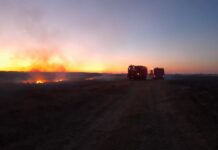 FOTO. Incendiu puternic, la Gârcov