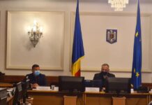 Cabinete veterinare, în comunele și orașele mici