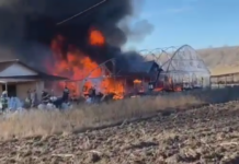 VIDEO. Solarii în flăcări, la Valea Mare