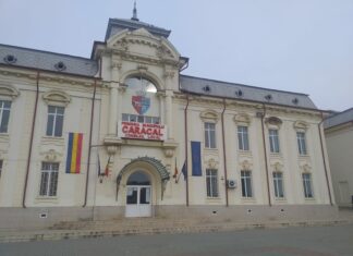 Doldurea vrea reabilitarea Teatrului de Vară