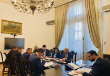 Program de susținere a producției de cartof de consum