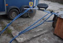 FOTO. Percheziții la Corabia, într-un dosar ce vizează curse ilegale de cai