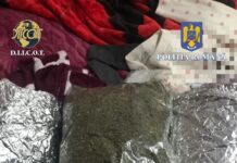 VIDEO. Percheziții, în Slatina. Doi bărbați, reținuți