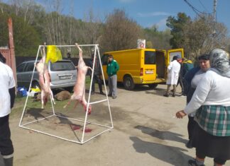 Olt: Trei centre pentru sacrificarea mieilor
