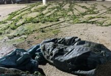 Doi slătineni, dosare penale, după ce au fost surprinși la pescuit