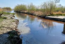 Cod galben de inundații pe râul Olt