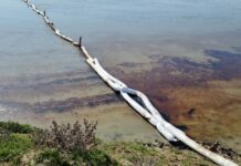 Poluare cu țiței pe Olteț